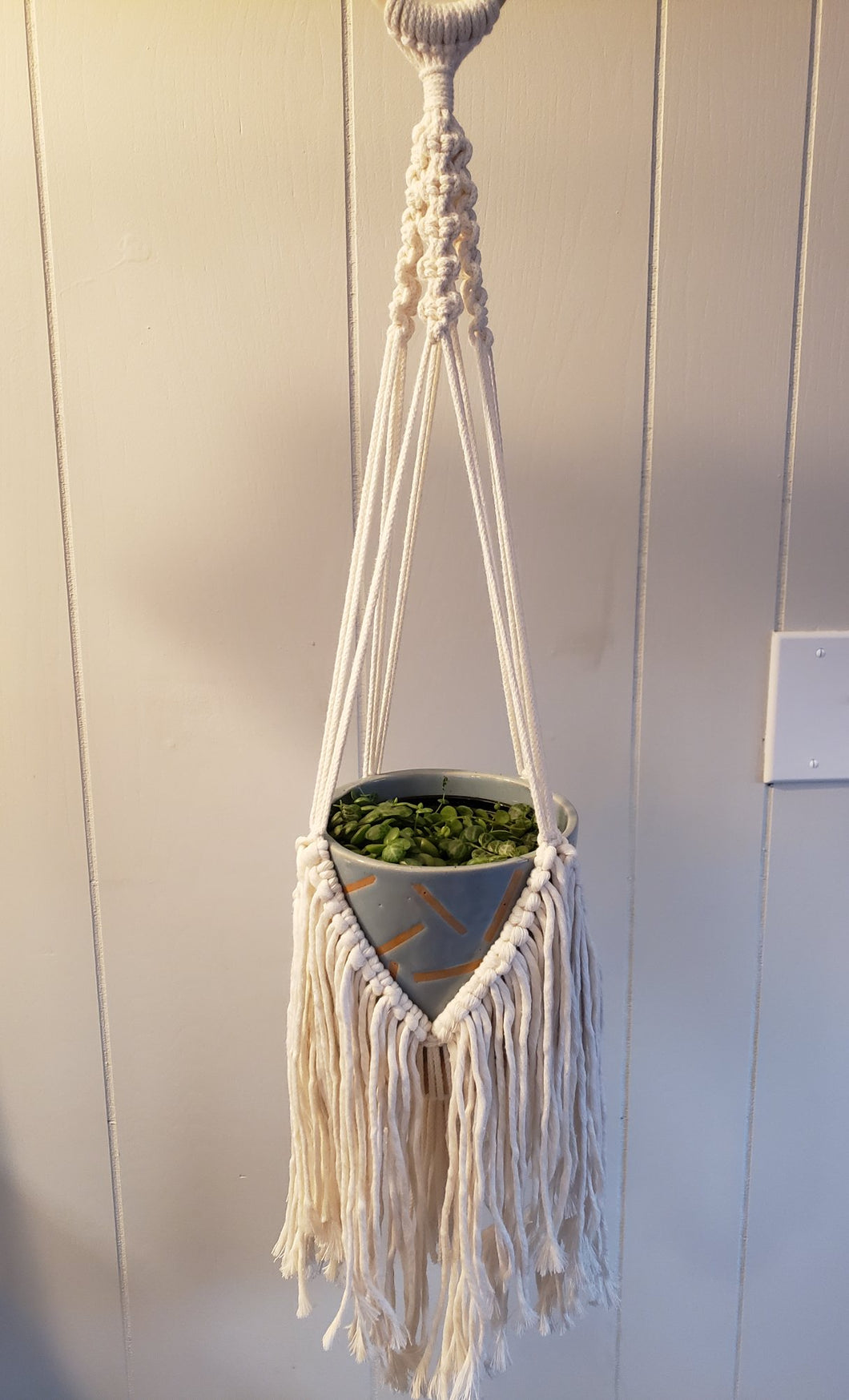 Fringy Hanging Planter