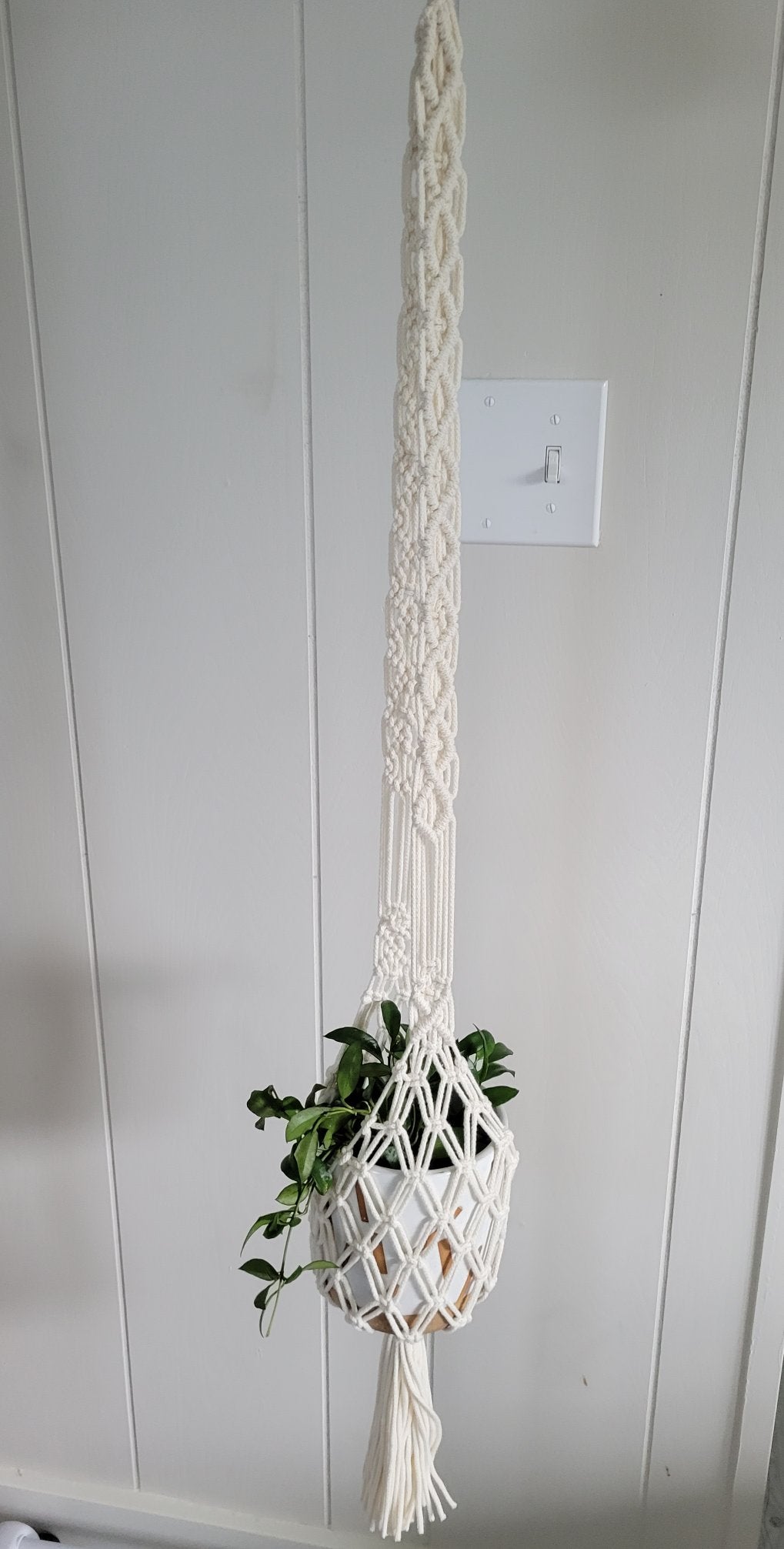 Basket Hanging Planter