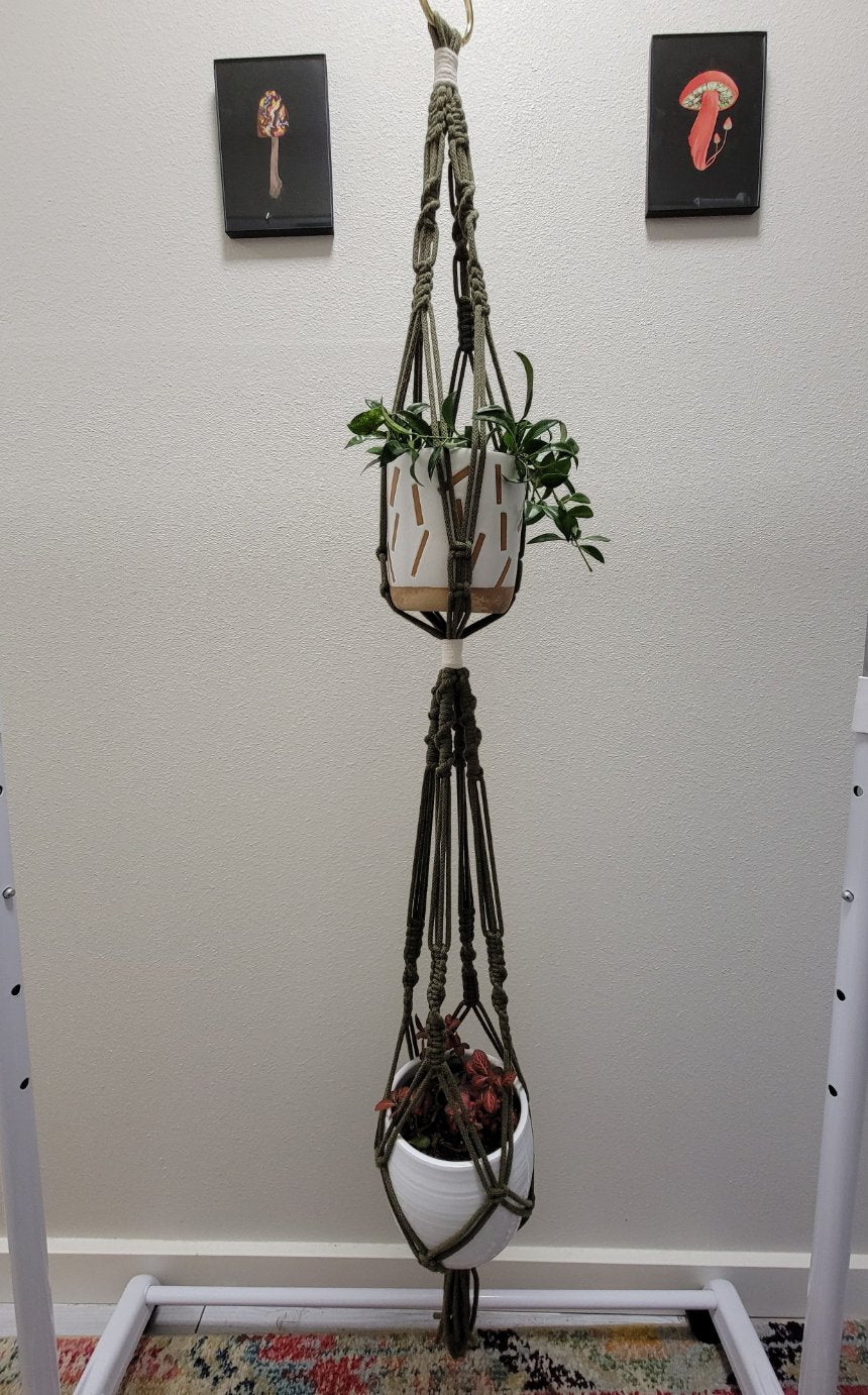 Double Ceiling Hanging Planter