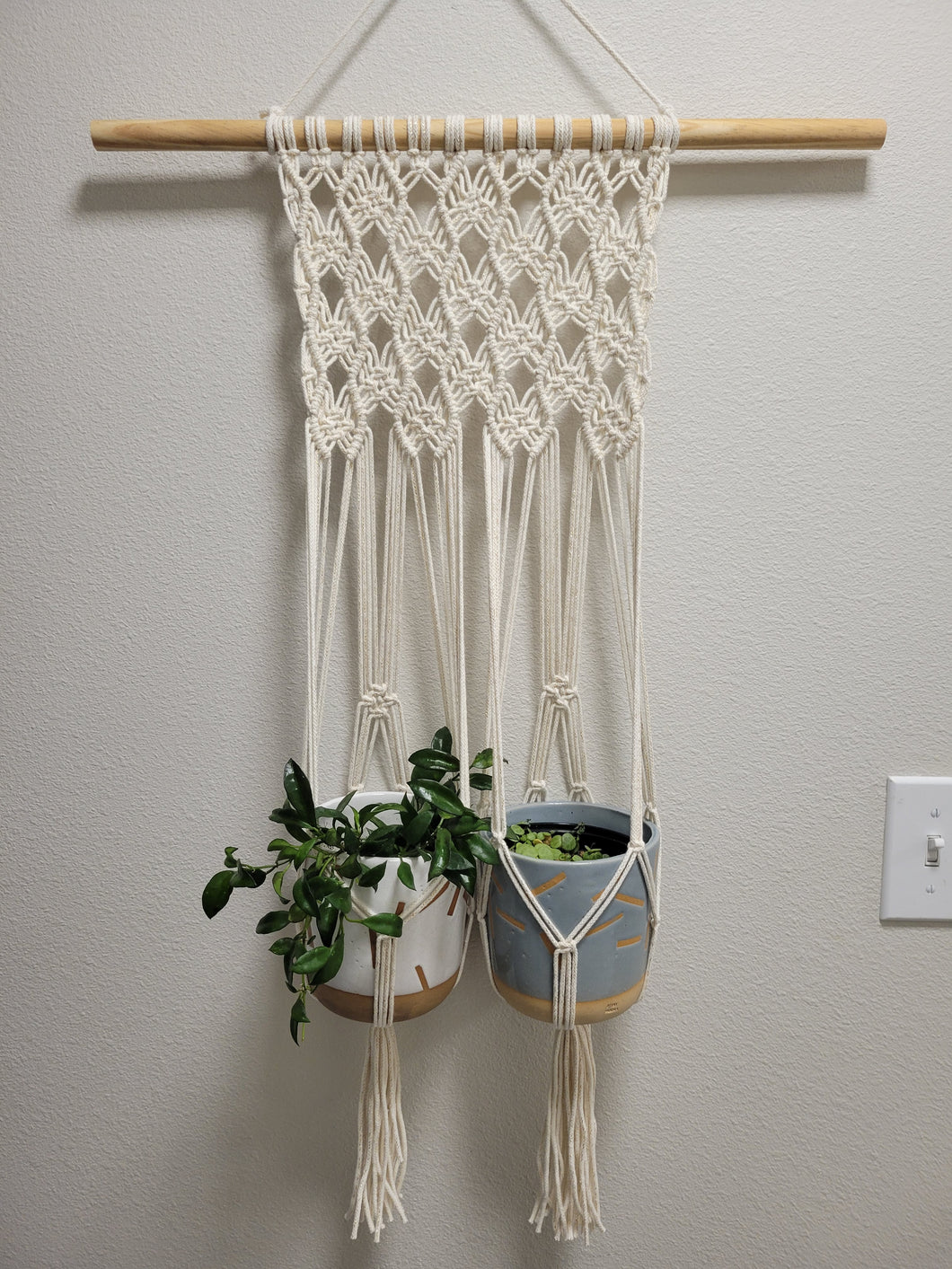 Double Wallhanging Planter